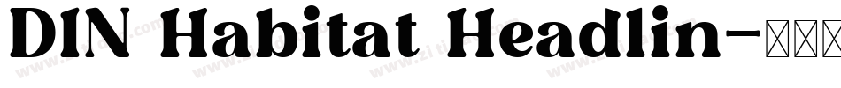 DIN Habitat Headlin字体转换